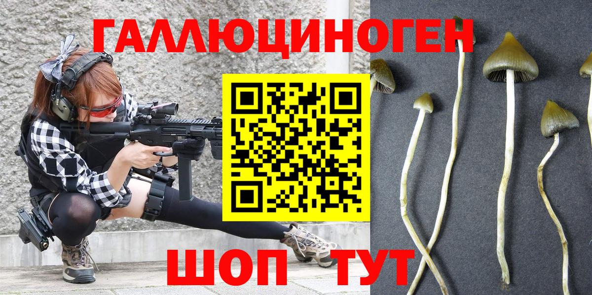 как найти   Галлюциногенные грибы прущие грибы  Вход с VPN  Майкоп  Галлюциногенные грибы ЛСД 